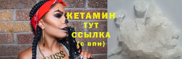 гашик Аркадак