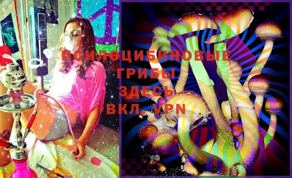 бошки Арсеньев
