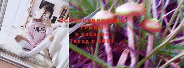 гашик Аркадак