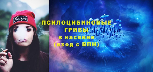 гашик Аркадак