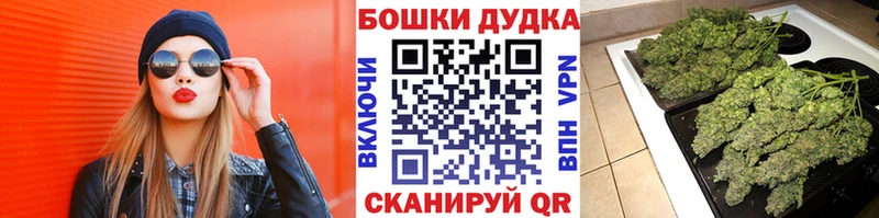 Каннабис SATIVA & INDICA  купить закладку  Себеж 